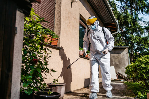 Pest Control for Restaurants in North Pearsall, TX