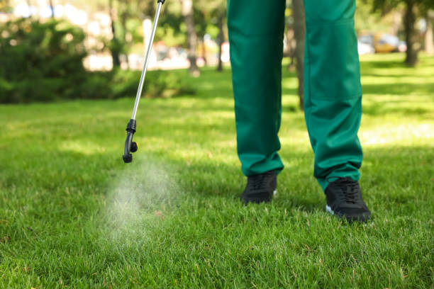 Best Affordable Pest Control Services  in North Pearsall, TX