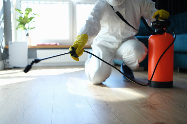 Best Best Pest Control Companies  in North Pearsall, TX