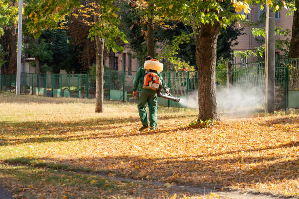 Best Bed Bug Extermination  in North Pearsall, TX
